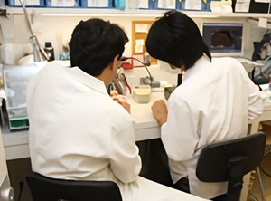 歯科技工士と装置のチェック